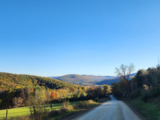 Fall color on a back road, October 2024
