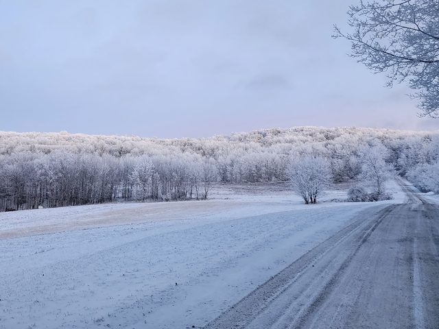 Frosted hills on a winter back road, January 2023